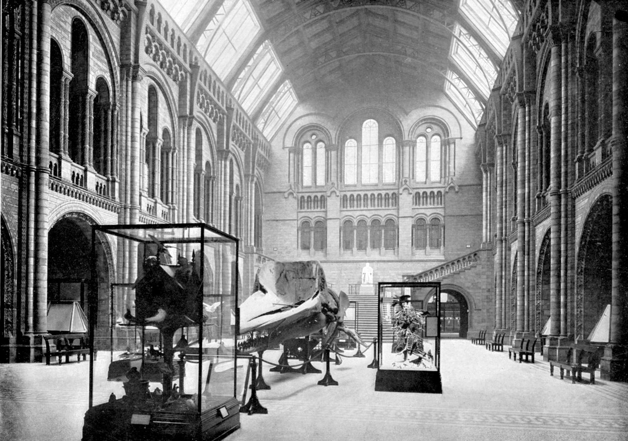 Entrance Hall of the Natural History Museum, South Kensington, London, 1890 af British Photographer
