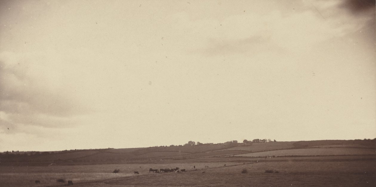 Udsigt over marker med køer, 1850