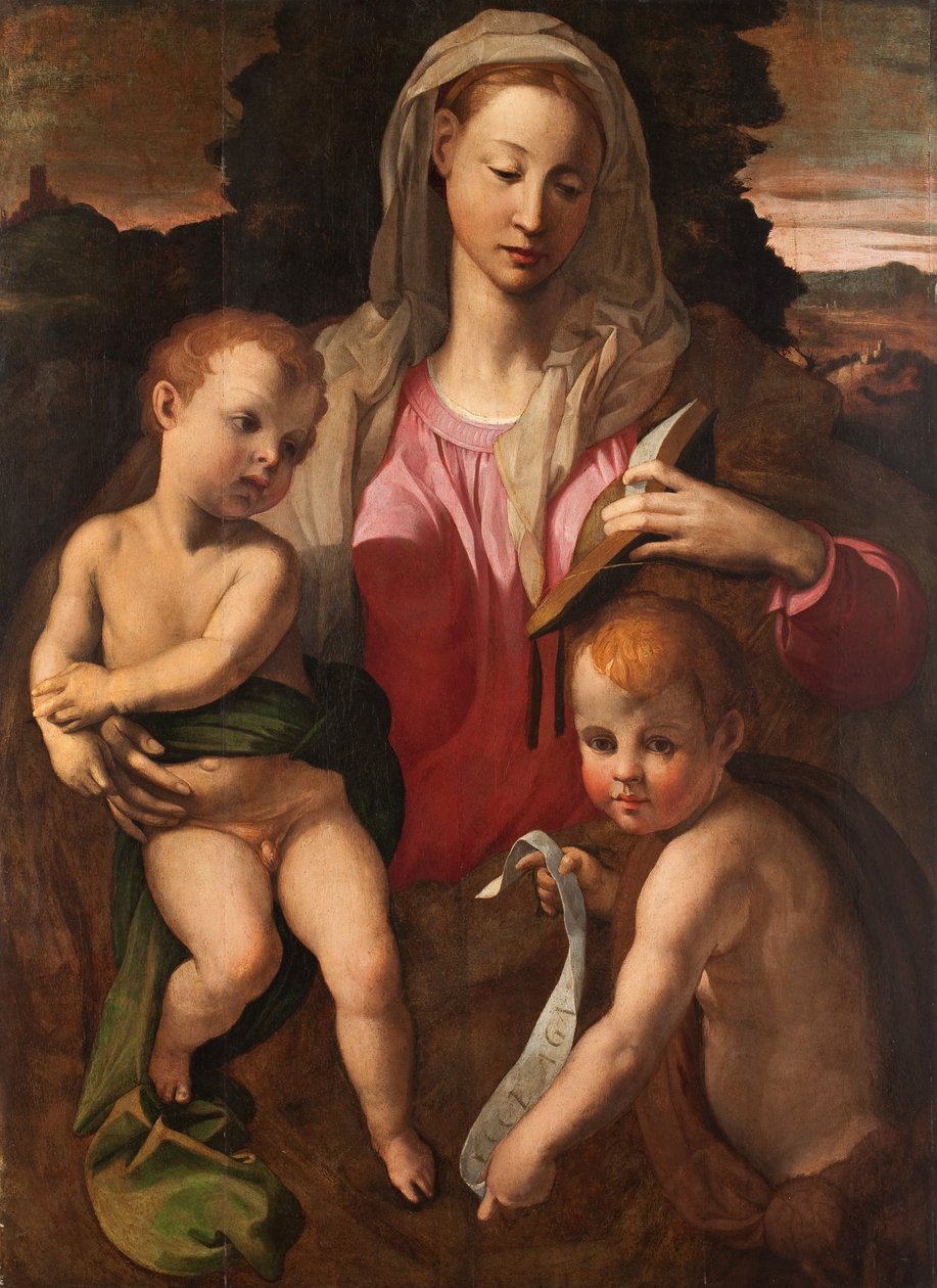 Madonna og barnet med Johannes Døberen af Bronzino