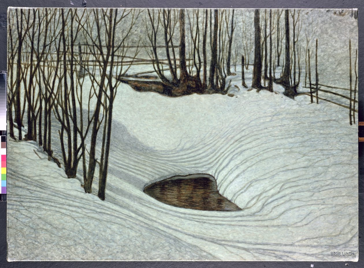 Skov om vinteren, ca. 1905 af Bror Lindh