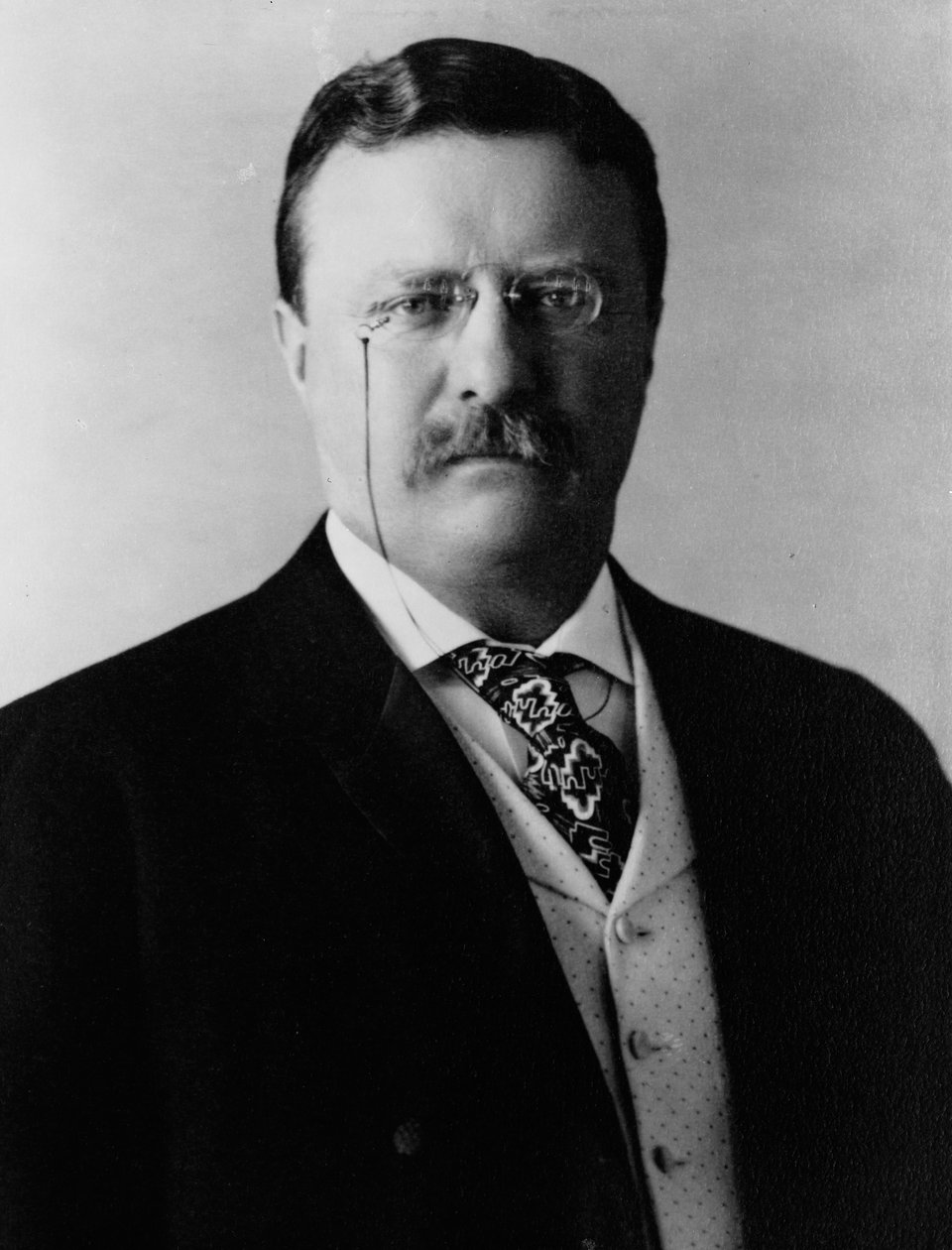 Theodore Roosevelt, ca. 1904 (s/h-foto) af Brothers Pach