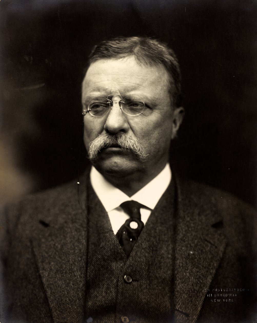 Theodore Roosevelt, ca. 1915 (s/h-foto) af Brothers Pach