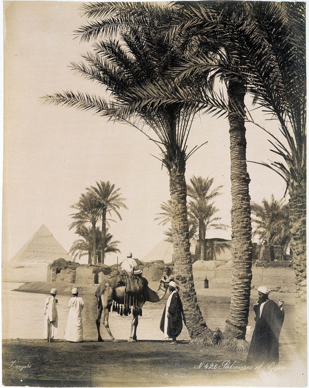 Palmelund ved foden af pyramiderne i Egypten - fotografi af Zangali Brothers, slutningen af det 19. århundrede af Brothers Zangaki