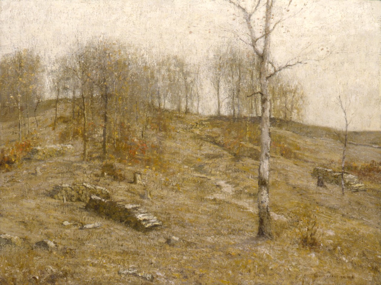 December Uplands af Bruce Crane
