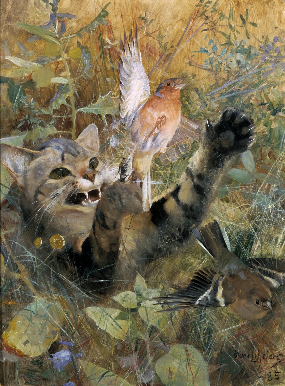 En kat og en bogfinke, 1885 af Bruno Andreas Liljefors