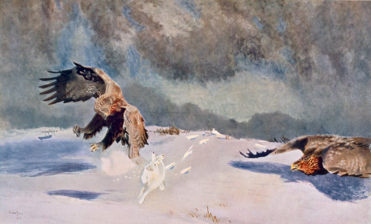 Eagles and Rabbit, 1922 af Bruno Andreas Liljefors
