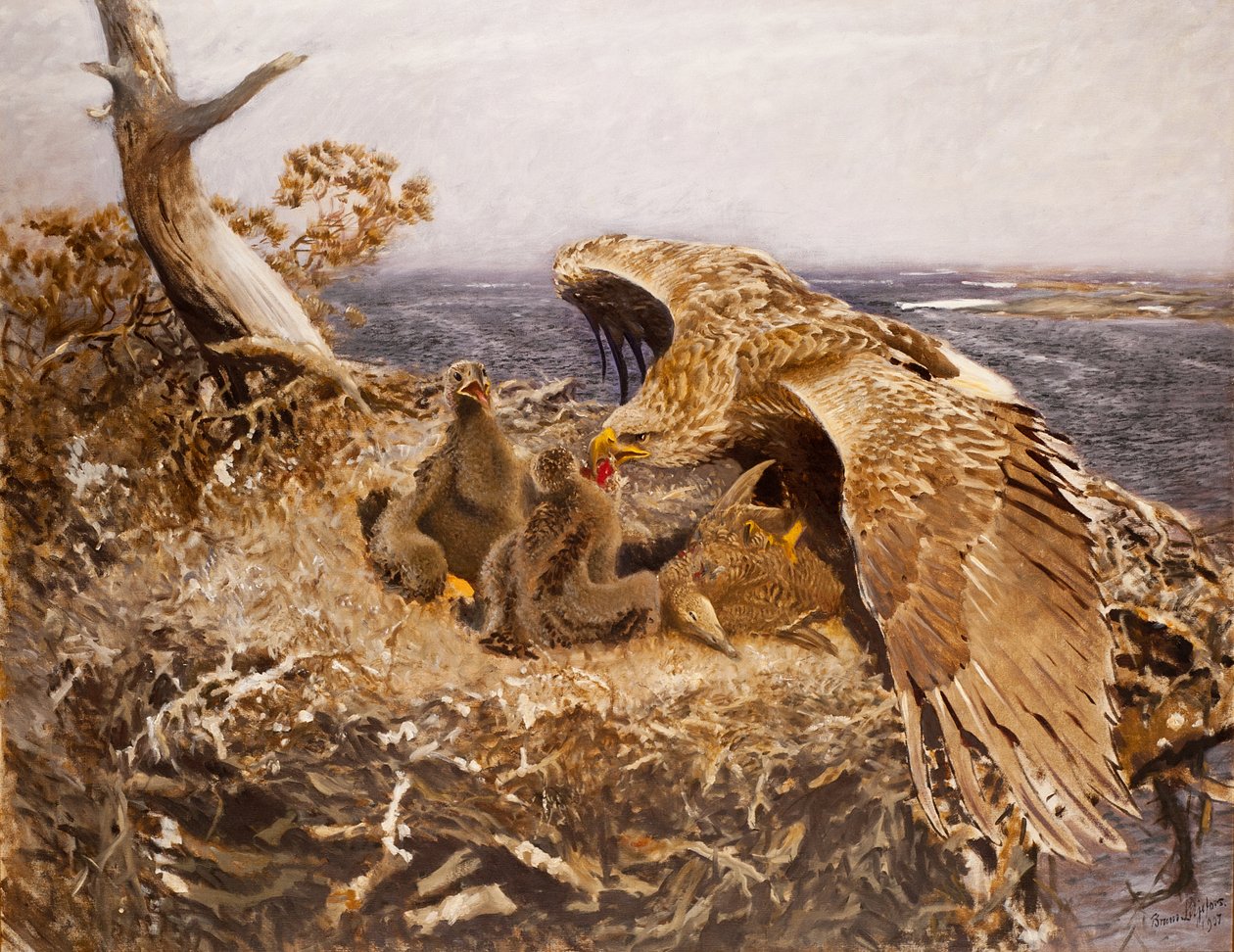 Havørnereden, 1907 af Bruno Andreas Liljefors