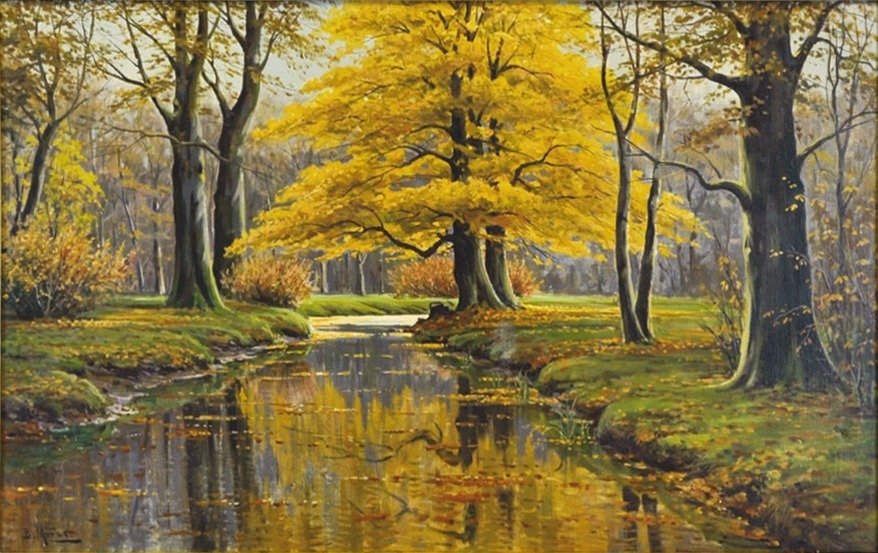 Herbstwald mit BachlaufnTysk: Herbstwald mit Fluzulaufn af Bruno Moras