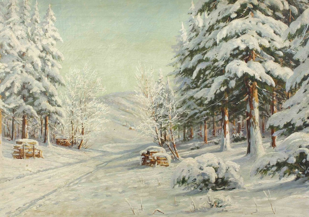 Vinterlandskaber af Bruno Moras