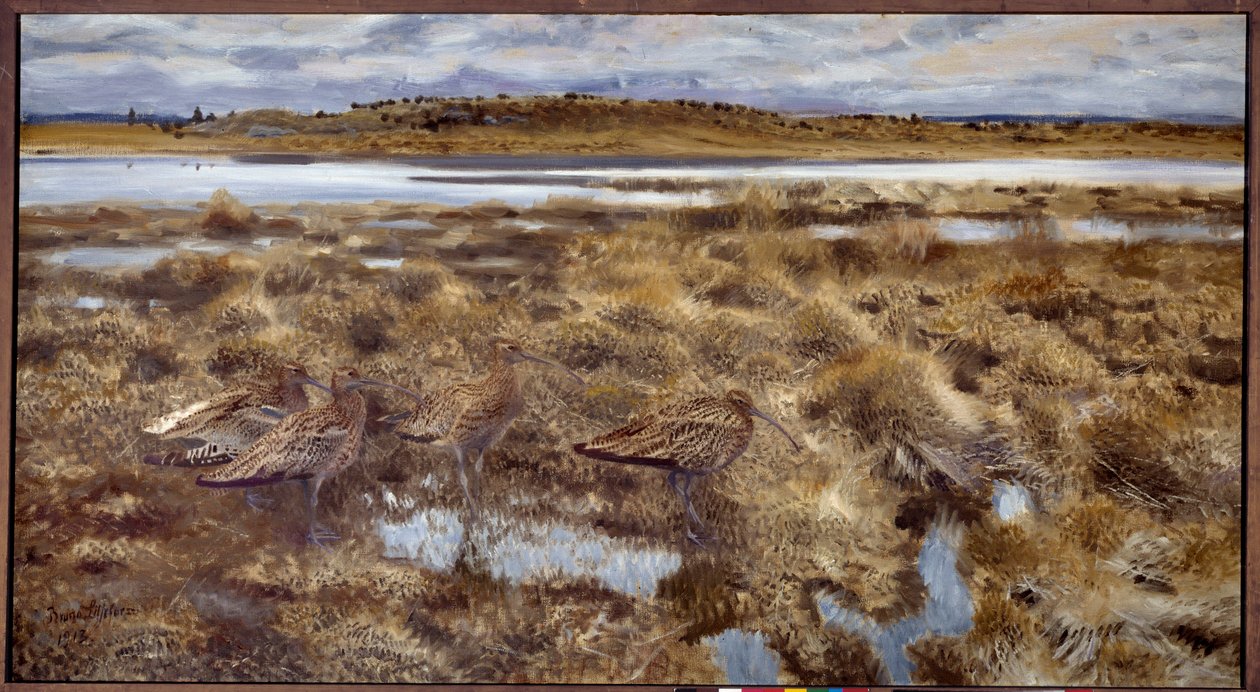 Curlews Fugle i marsken. Maleri af Bruno Andreas Liljefors (1860-1939) 1913 søn. 1,19x2,2 m af Bruno Andreas Liljefors