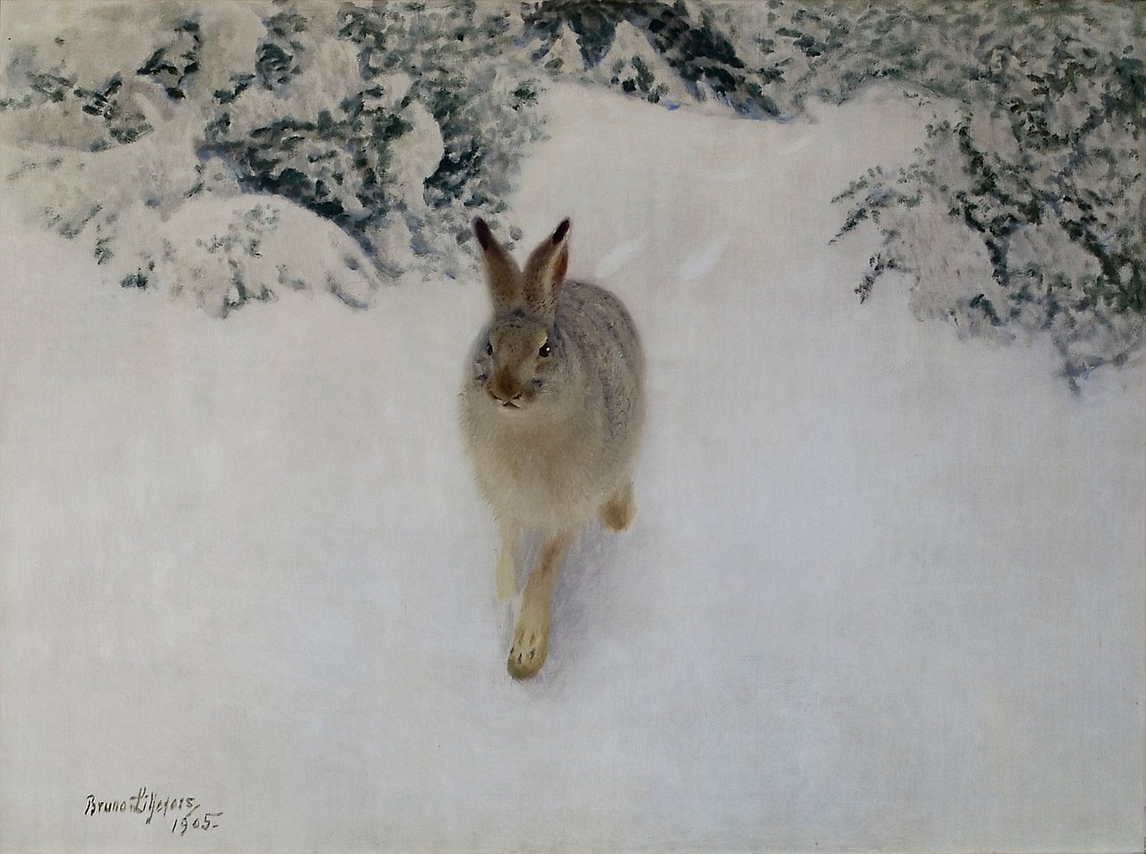 Hare om vinteren af Bruno Andreas Liljefors