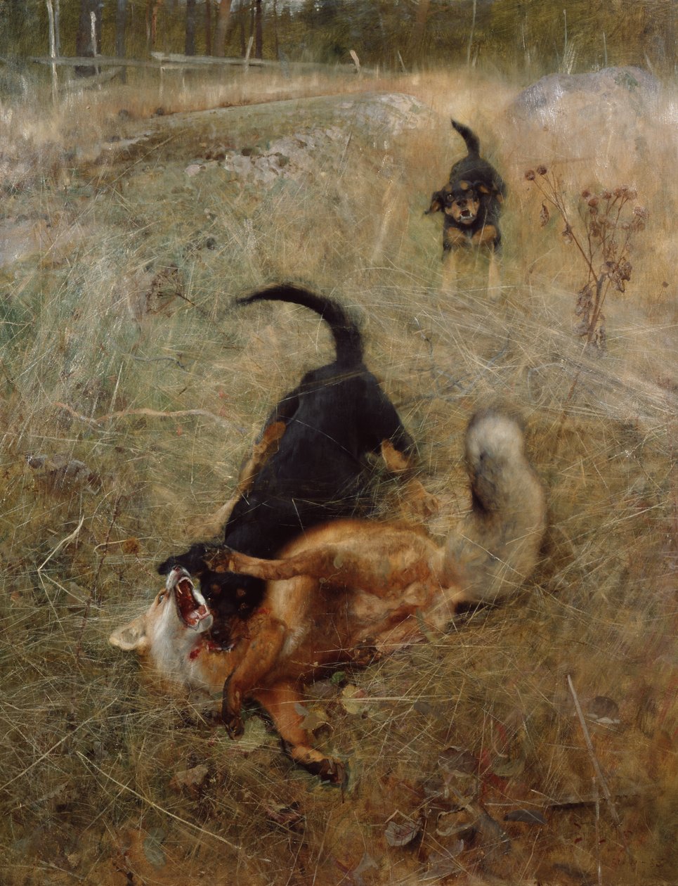 Hunde og ræv af Bruno Andreas Liljefors