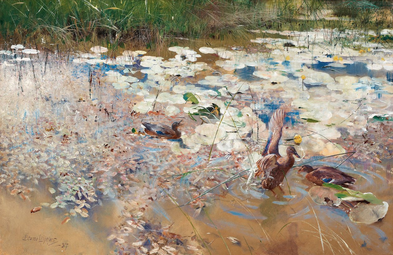 Vildænder, 1887. af Bruno Andreas Liljefors