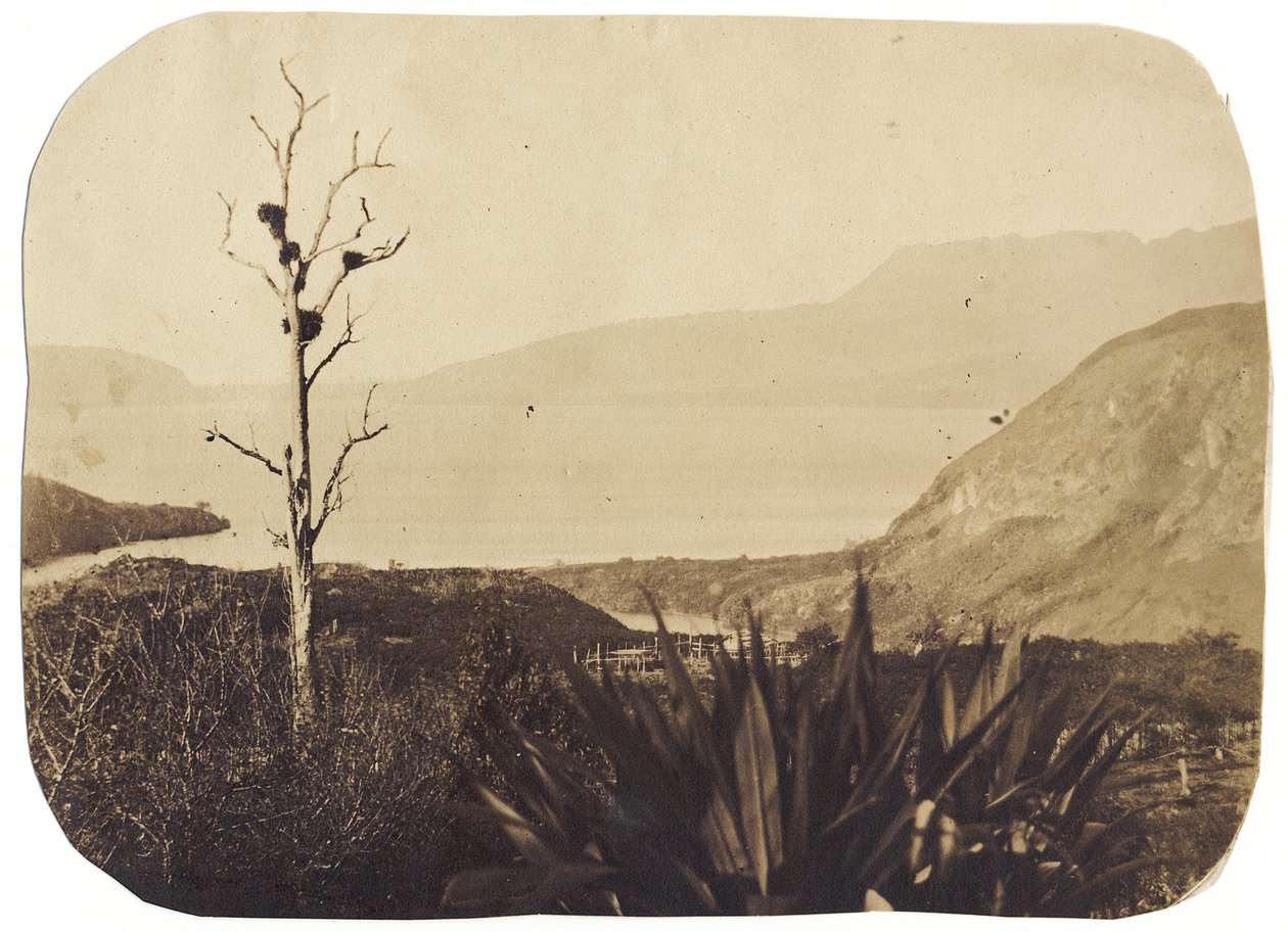 Lake and Mount Tarawera fra Te Wairoa, 1860 (albumin print) af Bruno Hamel
