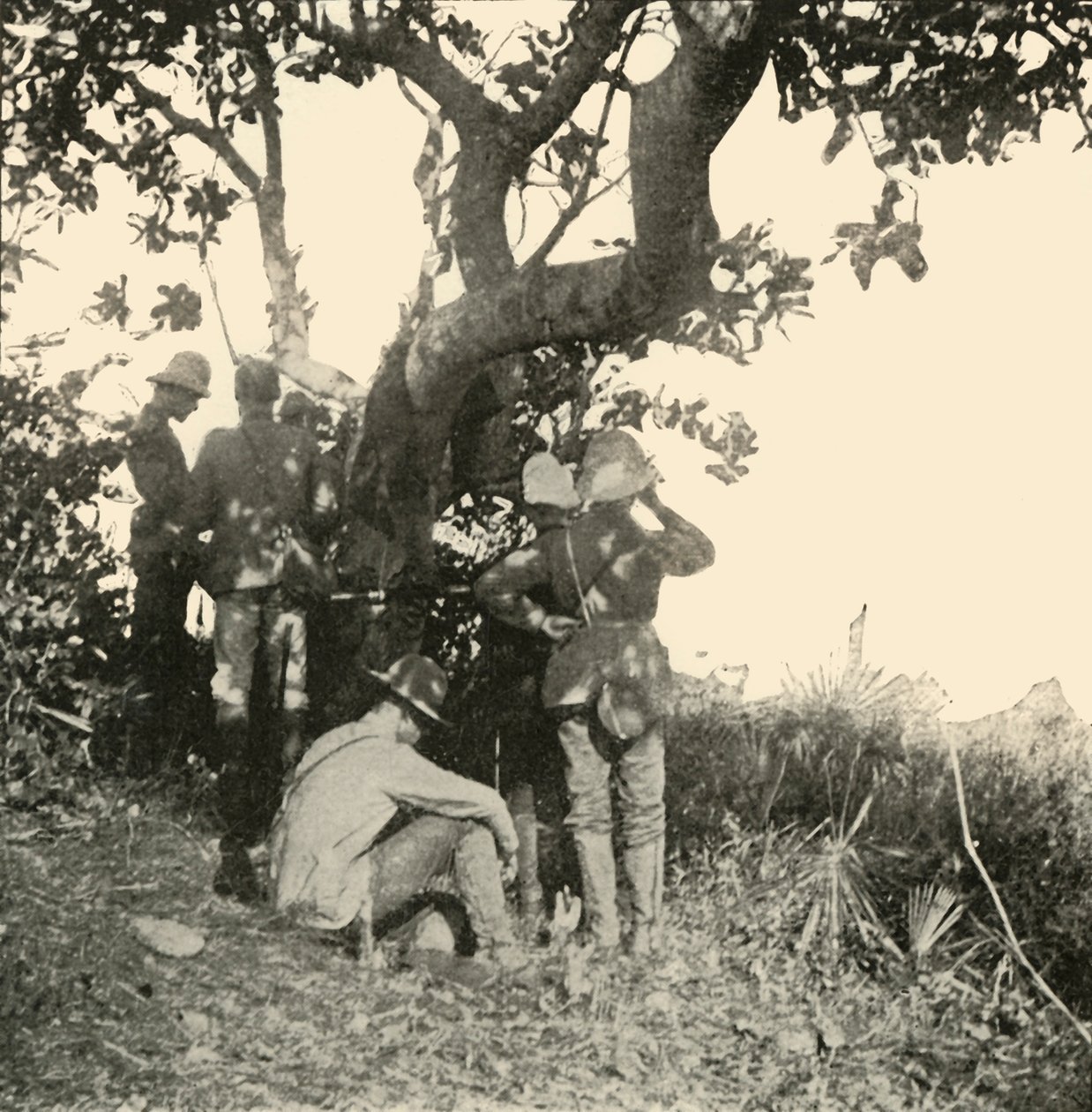Træ, hvorfra kaptajn Paget...så...San Juan-slaget, spansk-amerikansk krig, juni 1898, 1899. af Burr McIntosh