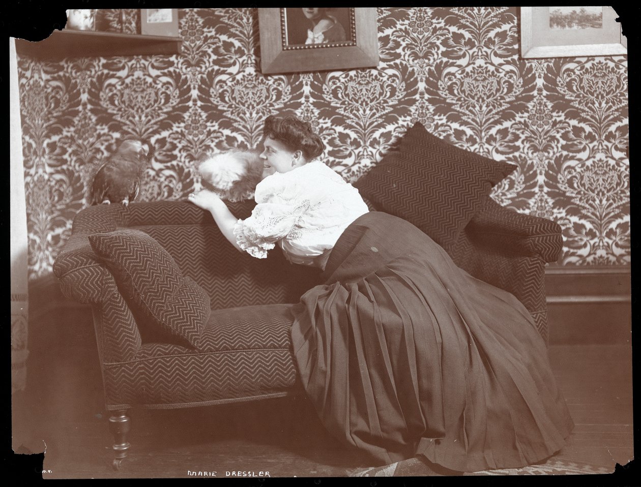 Marie Dressler hjemme med hund og papegøje, 1905 (sølv gelatinetryk) af Byron Company