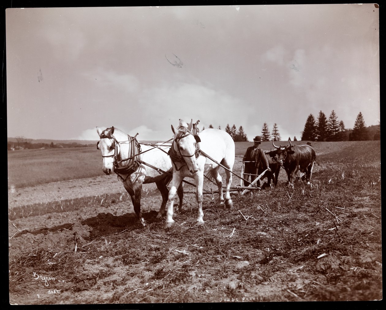 Pløjning på Alton Brooks Parkers ejendom, Esopus Creek, New York, 1904 (sølvgelatineprint) af Byron Company