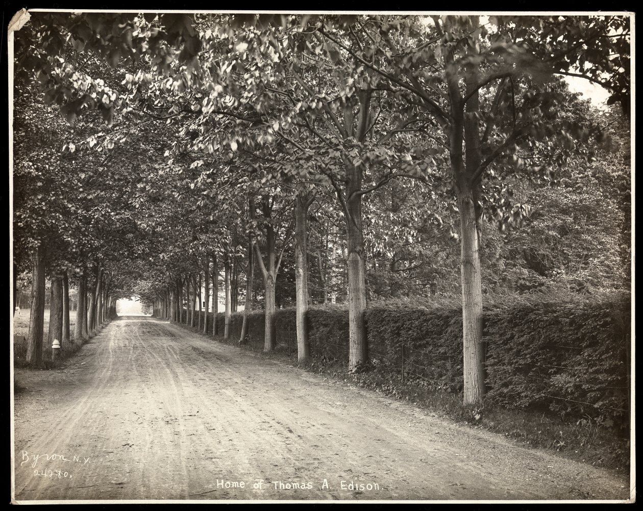 Træforet køretur hjemme hos Thomas Edison, 1907 (sølv gelatinetryk) af Byron Company