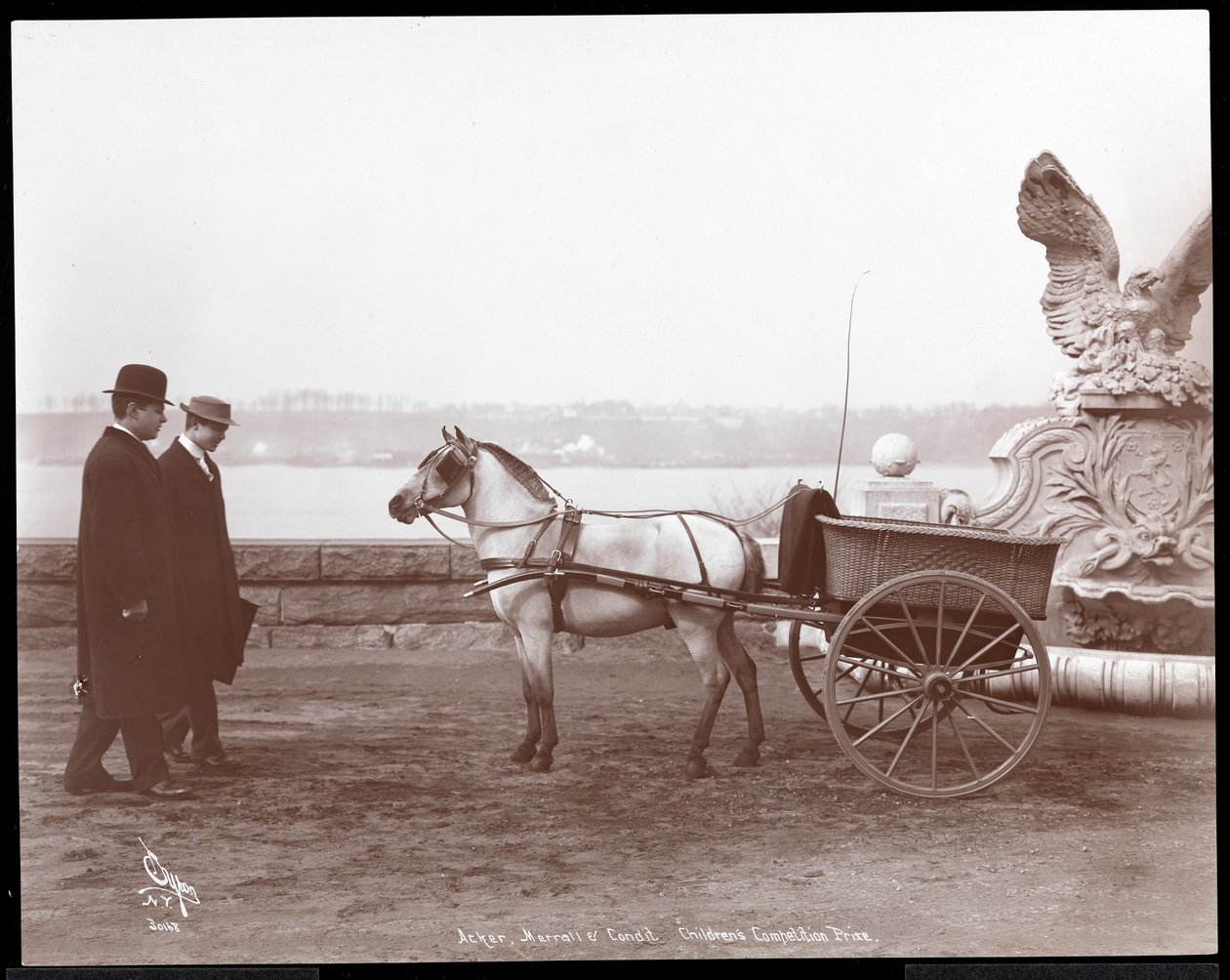 To mænd, pony og vogn, New York, 1910 eller 1911 (sølv gelatinetryk) af Byron Company