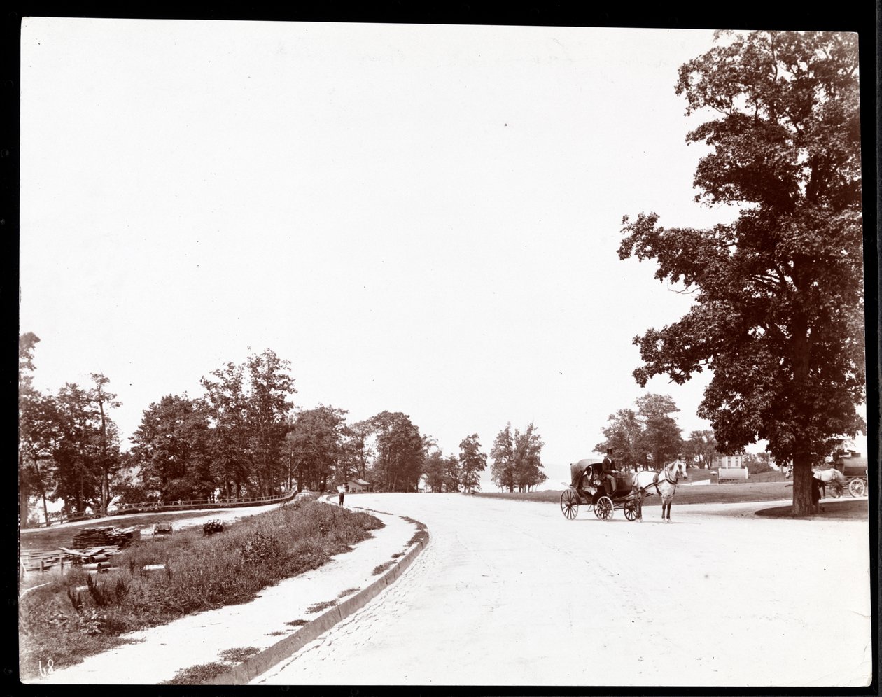 Udsigt over en hestevogn på Riverside Drive, New York, ca. 1893 (sølv gelatinetryk) af Byron Company