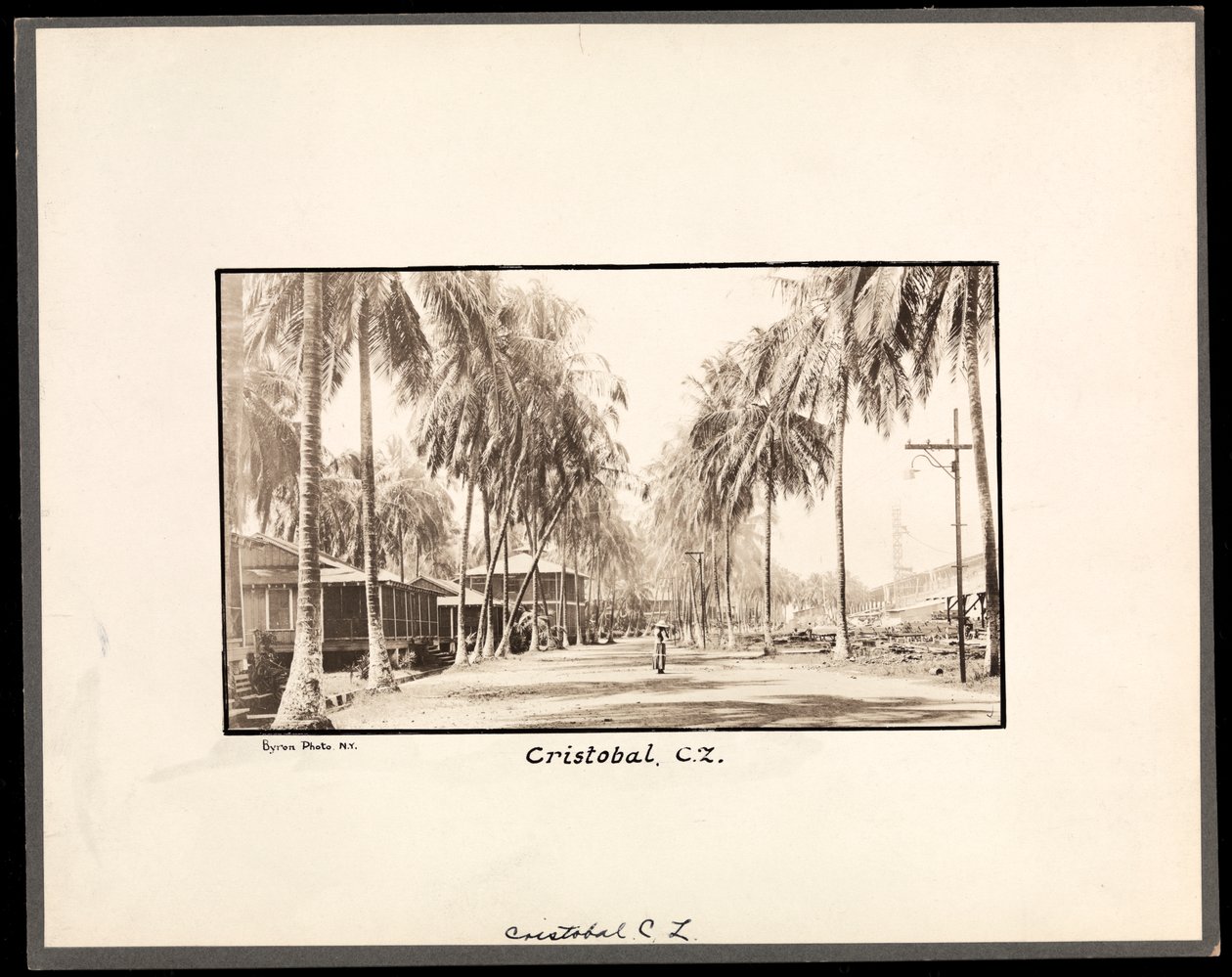 Udsigt over en palmebeklædt grusvej gennem Cristobal, Panama, under konstruktionen af kanalen, 1912 eller 1913 (sølv gelatinetryk) af Byron Company