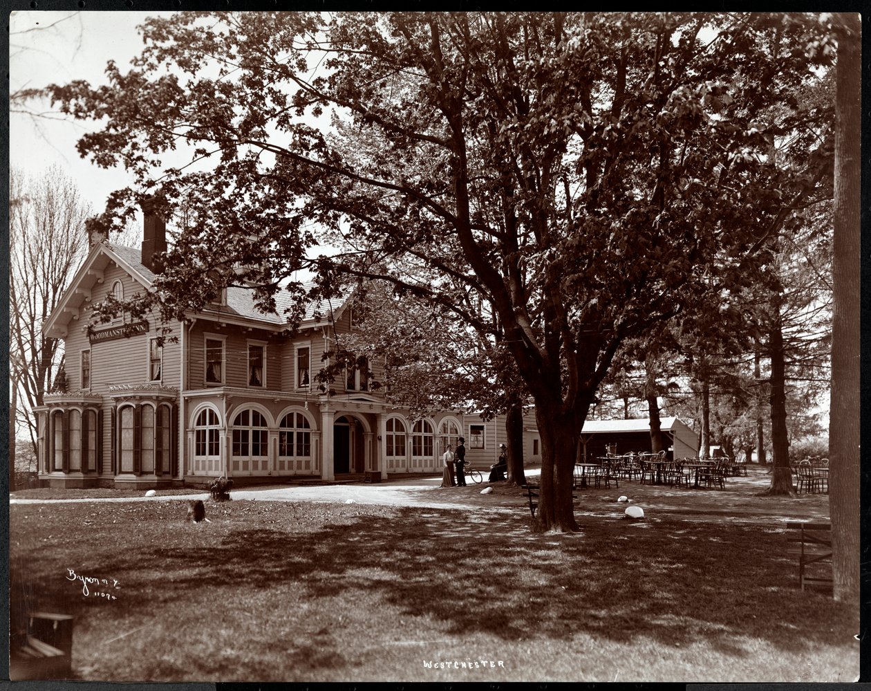 Udsigt gennem træerne på Woodmansten Inn, Westchester, New York, 1901 (sølv gelatinetryk) af Byron Company