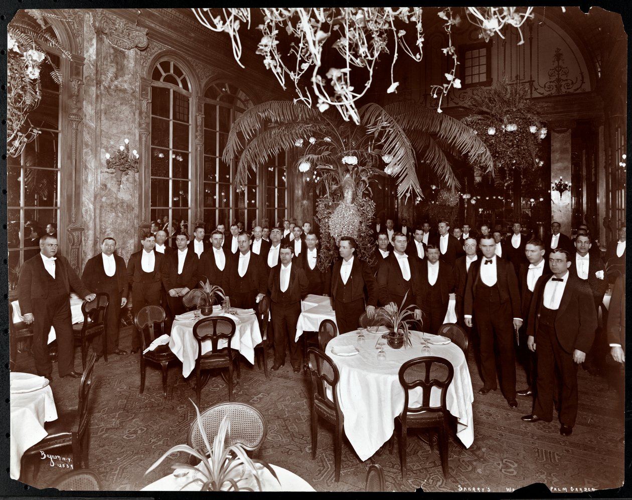 Tjener i Palm Court på Sherry
