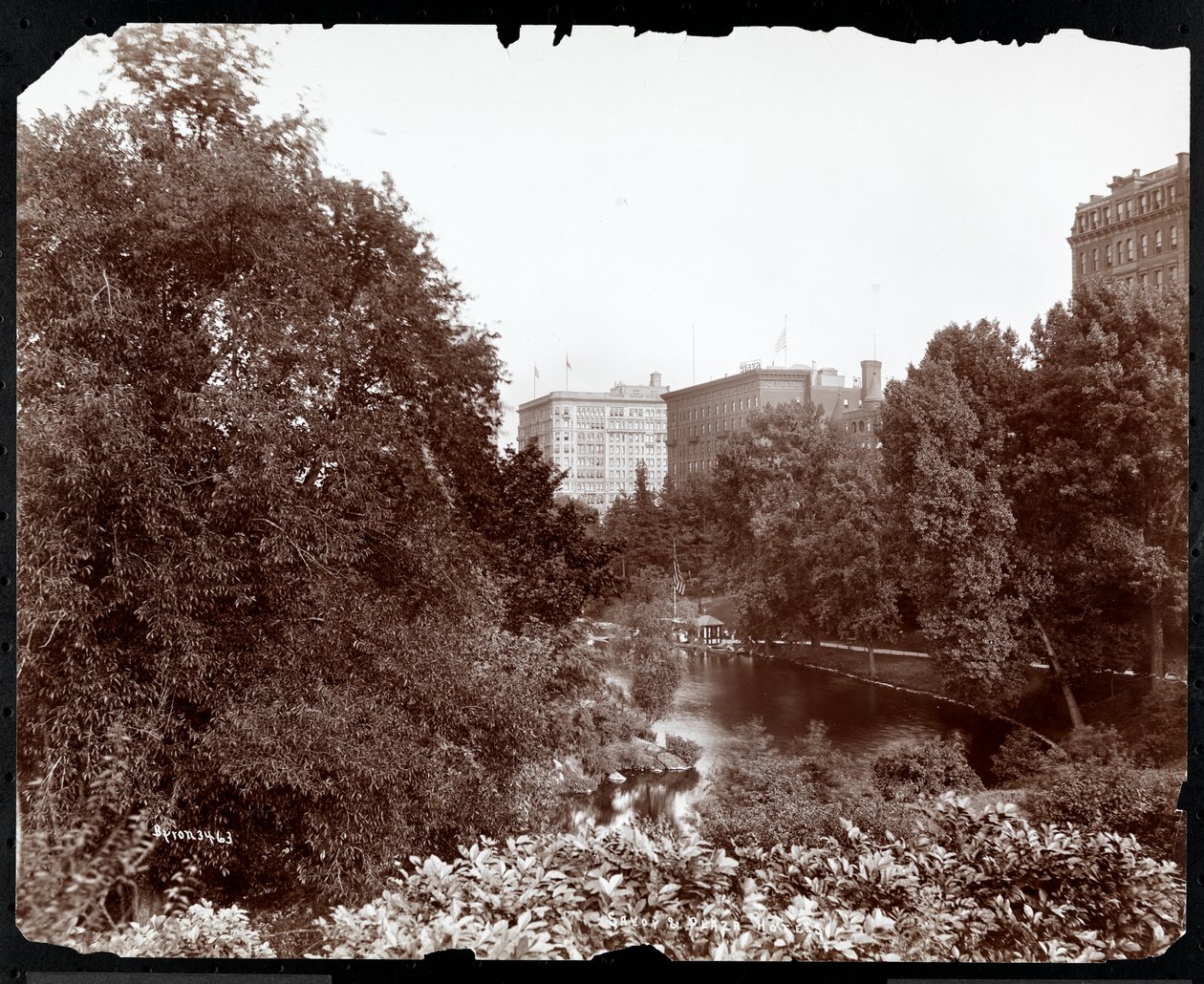Central Park med udsigt over Savoy og Plaza Hotels, 5th Avenue og 59th Street, New York, ca. 1896-98 (sølv gelatinetryk) af Byron Company