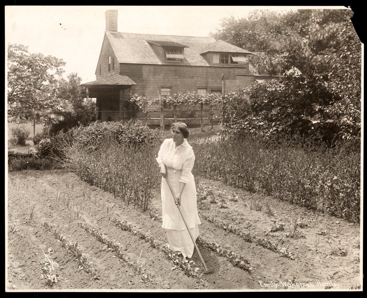 Emily Wakeman Hartley, ca. 1913 (sølv gelatinetryk) af Byron Company