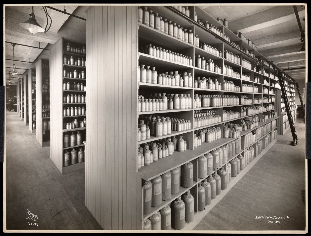 Indvendigt billede af et kemisk lagerrum hos Parke, Davis und Co., kemikere, Hudson og Vestry Streets, New York, 1910 (sølvgelatineprint) af Byron Company
