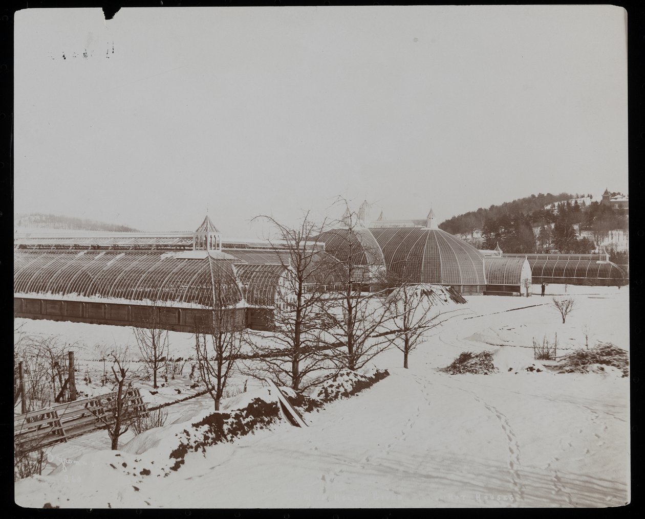 Drivhusene i sneen på Helen Gould-ejendommen (sen Jay Gould-residens) i Tarrytown, New York, 1894 (sølv gelatinetryk) af Byron Company