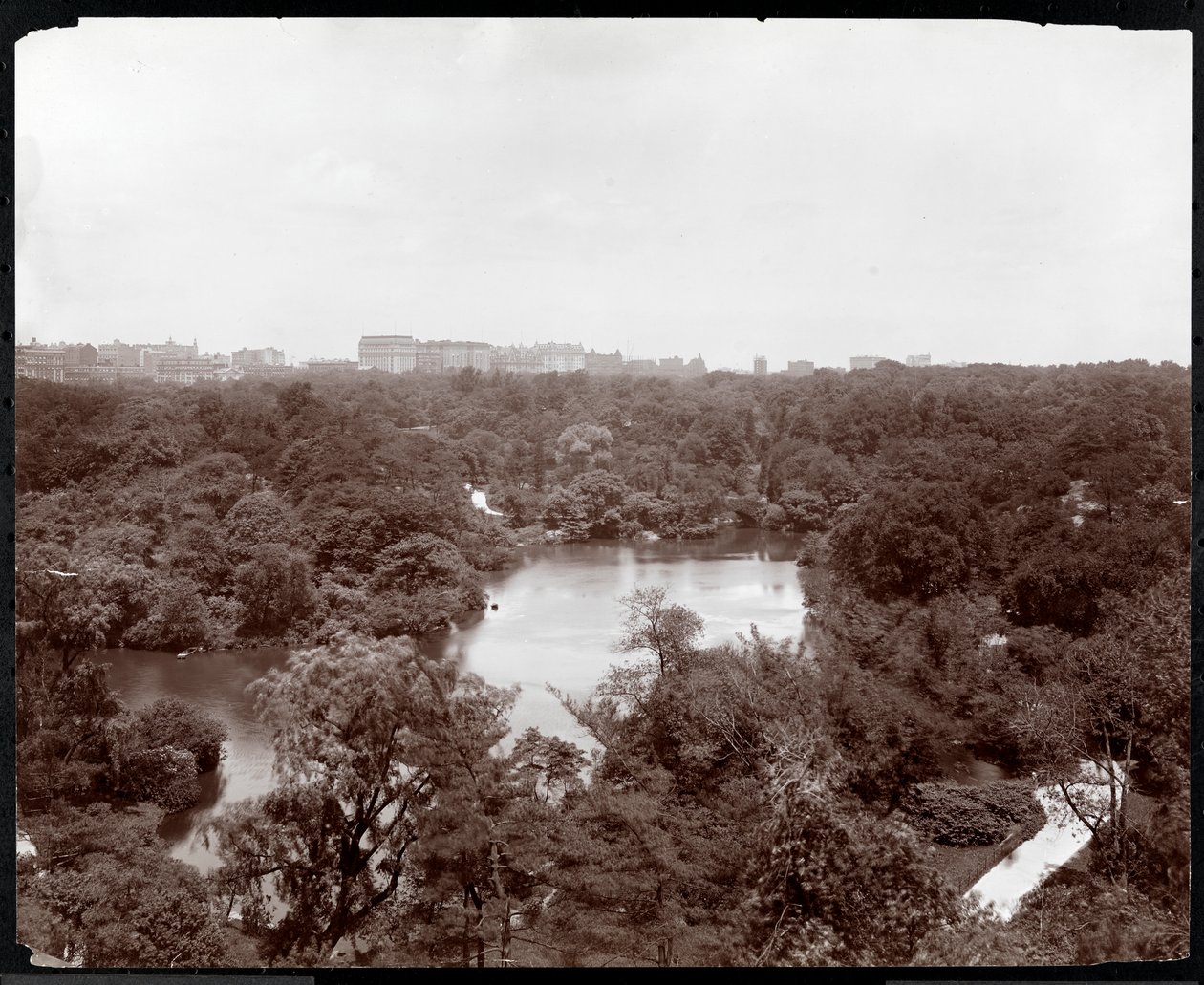 Udsigt over Central Park fra Plaza Hotel, 5th Avenue og 59th Street, New York, 1907 (sølv gelatinetryk) af Byron Company