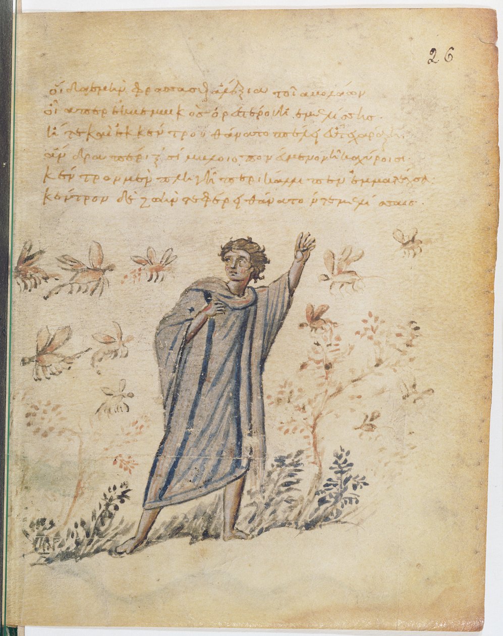 Ms Supp Grec 247 fol.3 Mand på flugt fra bier, illustration fra Theriaca af Nikander af Kolofon (fl.2. århundrede f.Kr.) af Byzantine