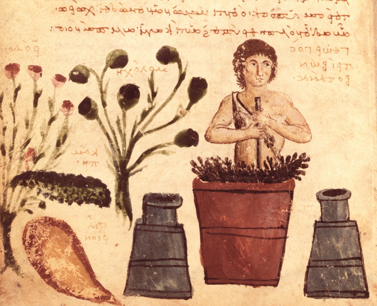Ms Supp Grec 247 fol.5 En bonde, der forbereder en salve til at beskytte mod slanger, fra Theriaca af Nicander af Colofon (fl. 2. århundrede f.Kr.) af Byzantine