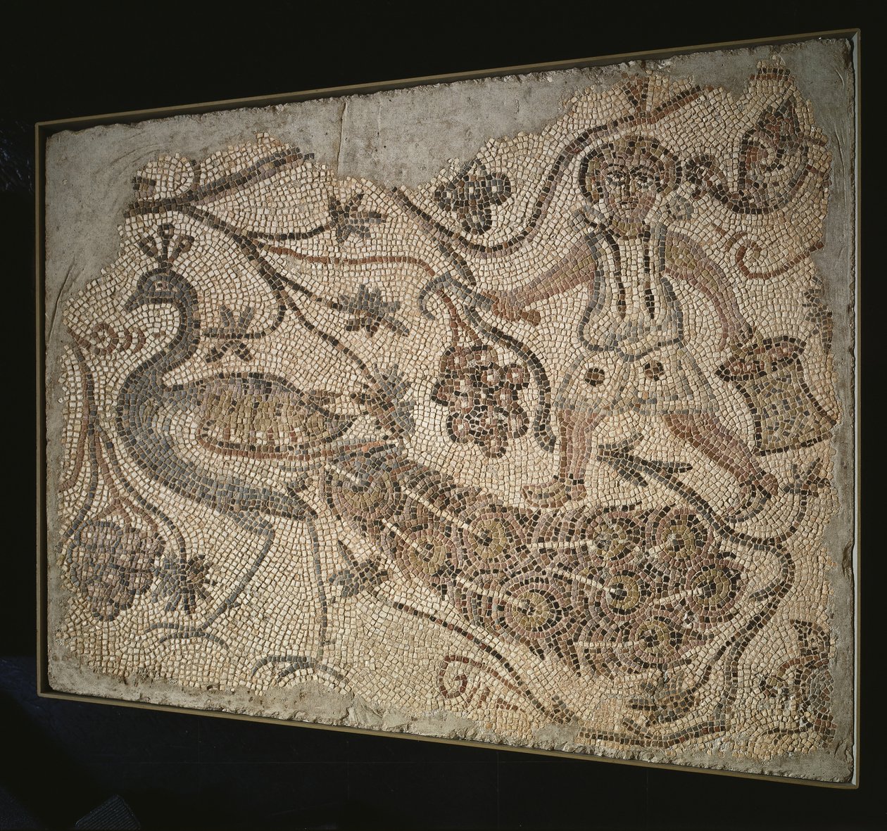Gulvmosaikpanel: Vindruehøster med påfugl, 400s af Byzantine