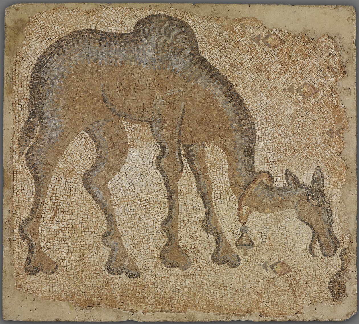 Mosaikfragment med græssende kamel af Byzantine