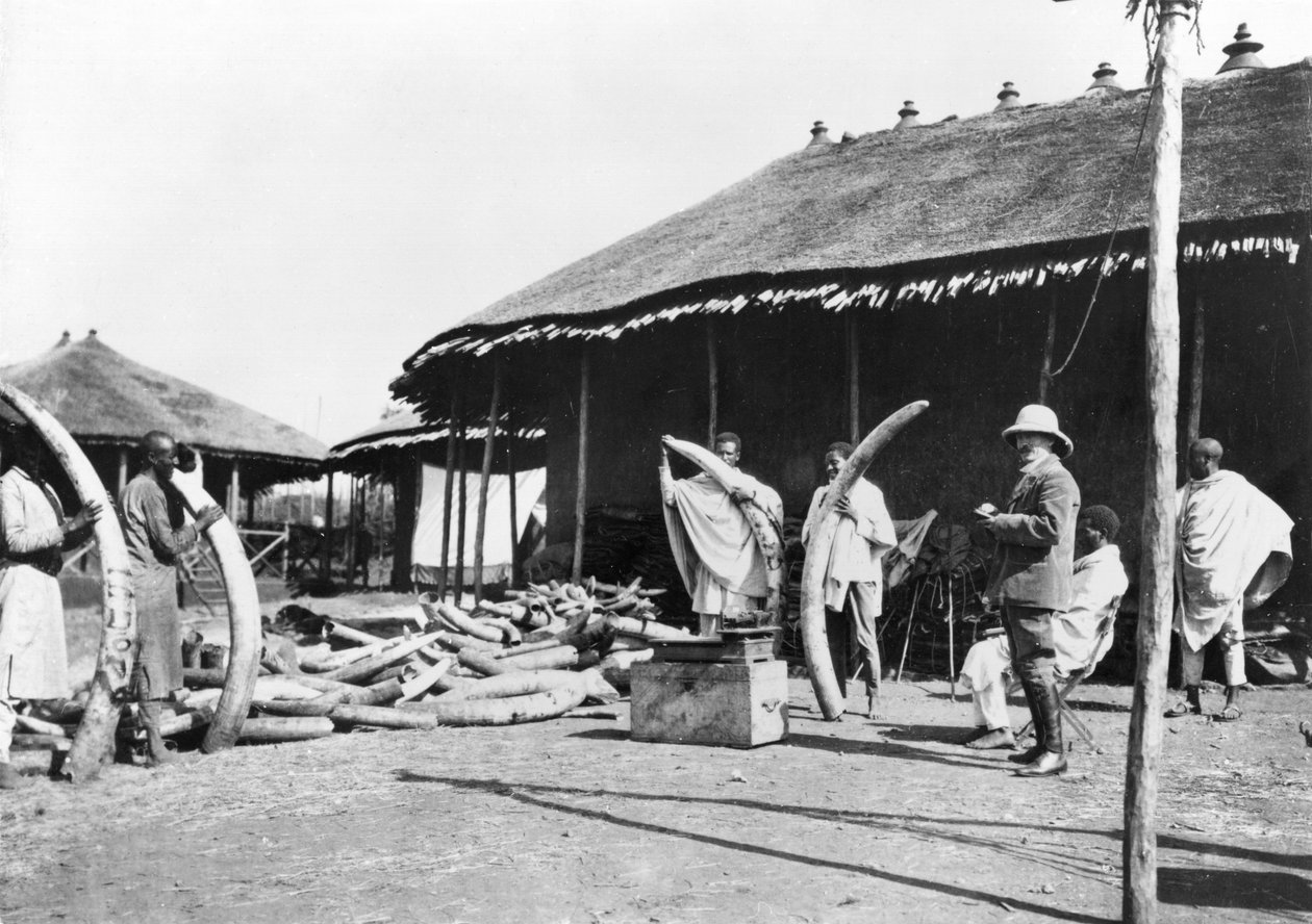Elfenbenslagre i Addis Ababa, Etiopien, ca. 1900 (sv-billede) af C. Chusseau Flaviens