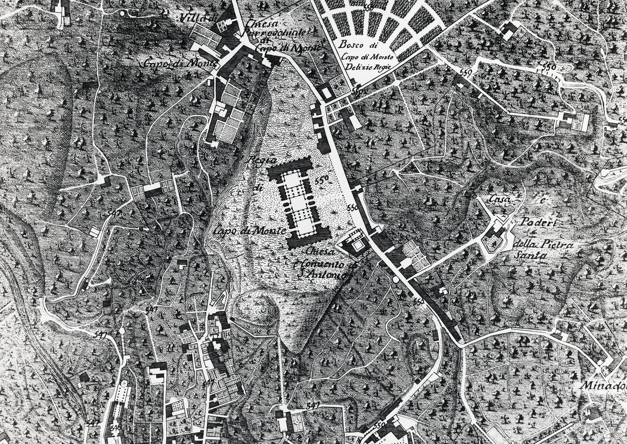 Bykort over Napoli med Capodimonte, detaljer fra Duke Of Noja-kort af J.B. and Brown J. Rowbotham