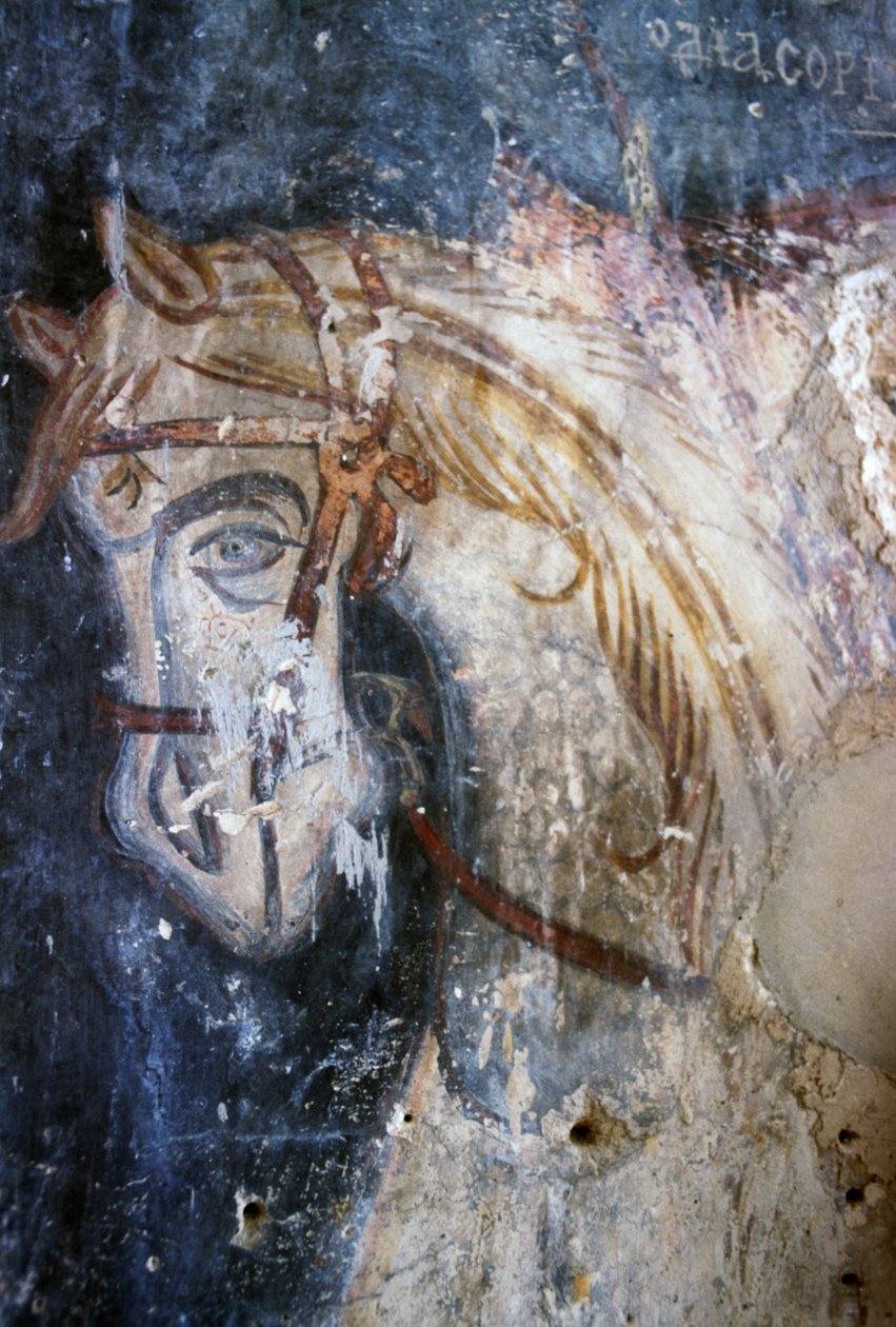 Hest, detalje fra fresco i kirken Agios Georgios, Vathiako, Kreta, Grækenland (foto) af J.B. and Brown J. Rowbotham