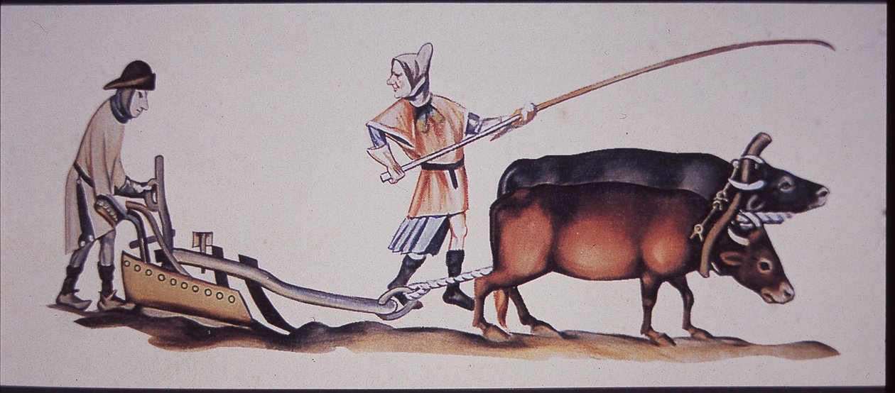 Middelaldermænd, der pløjer med okser, fra en scene fra Luttrell Psalter (farve litho) af J.B. and Brown J. Rowbotham