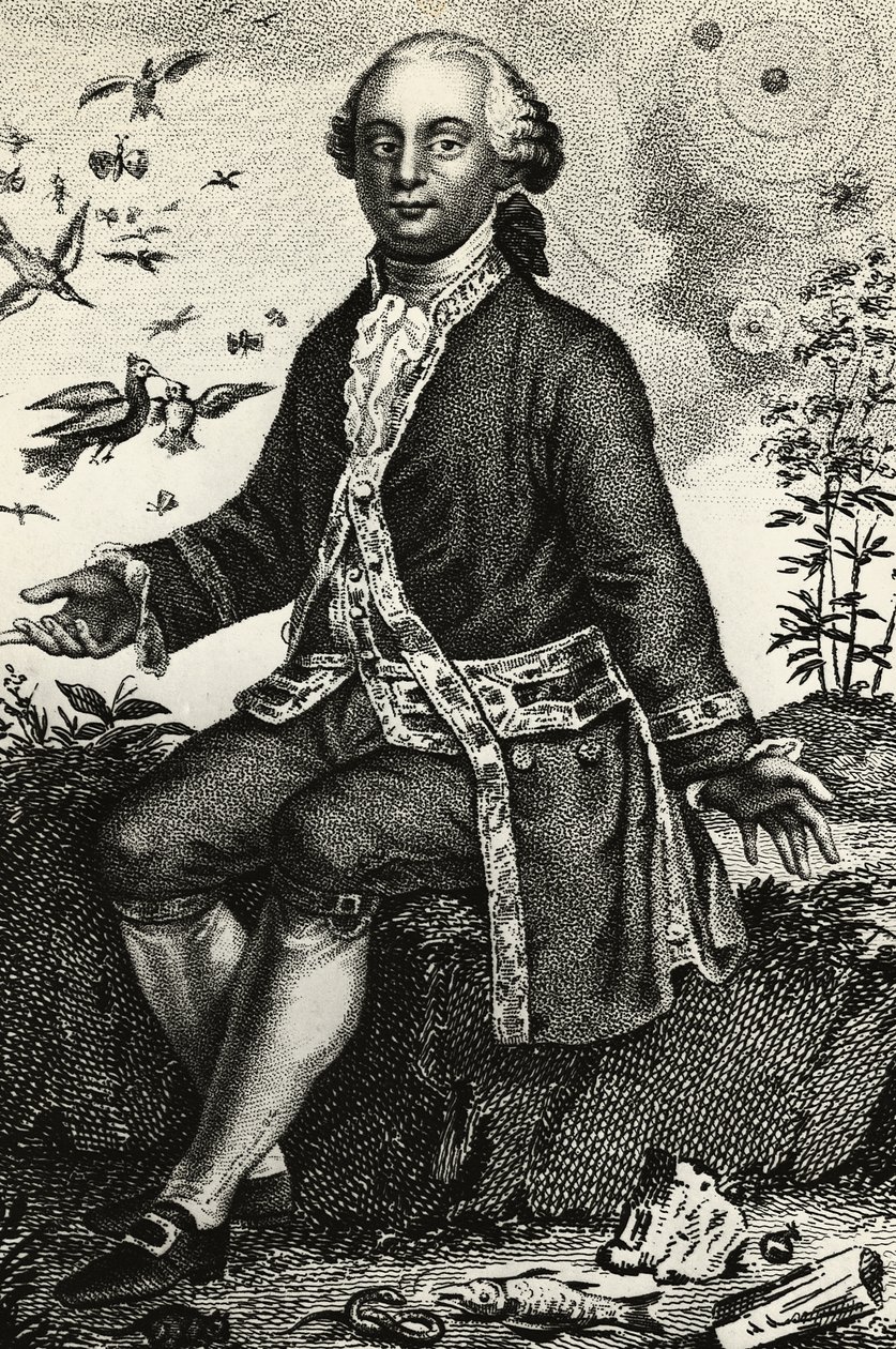 Portræt af Georges-Louis Leclerc de Buffon (1707-1788), fransk naturforsker og matematiker, gravering af J.B. and Brown J. Rowbotham