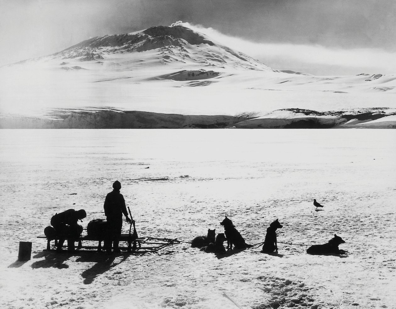 Sydpolsekspedition af Robert Falcon Scott (1868-1912), opdagelsesrejsende før Erebus-vulkanen på Ross-øen, 15. januar af J.B. and Brown J. Rowbotham