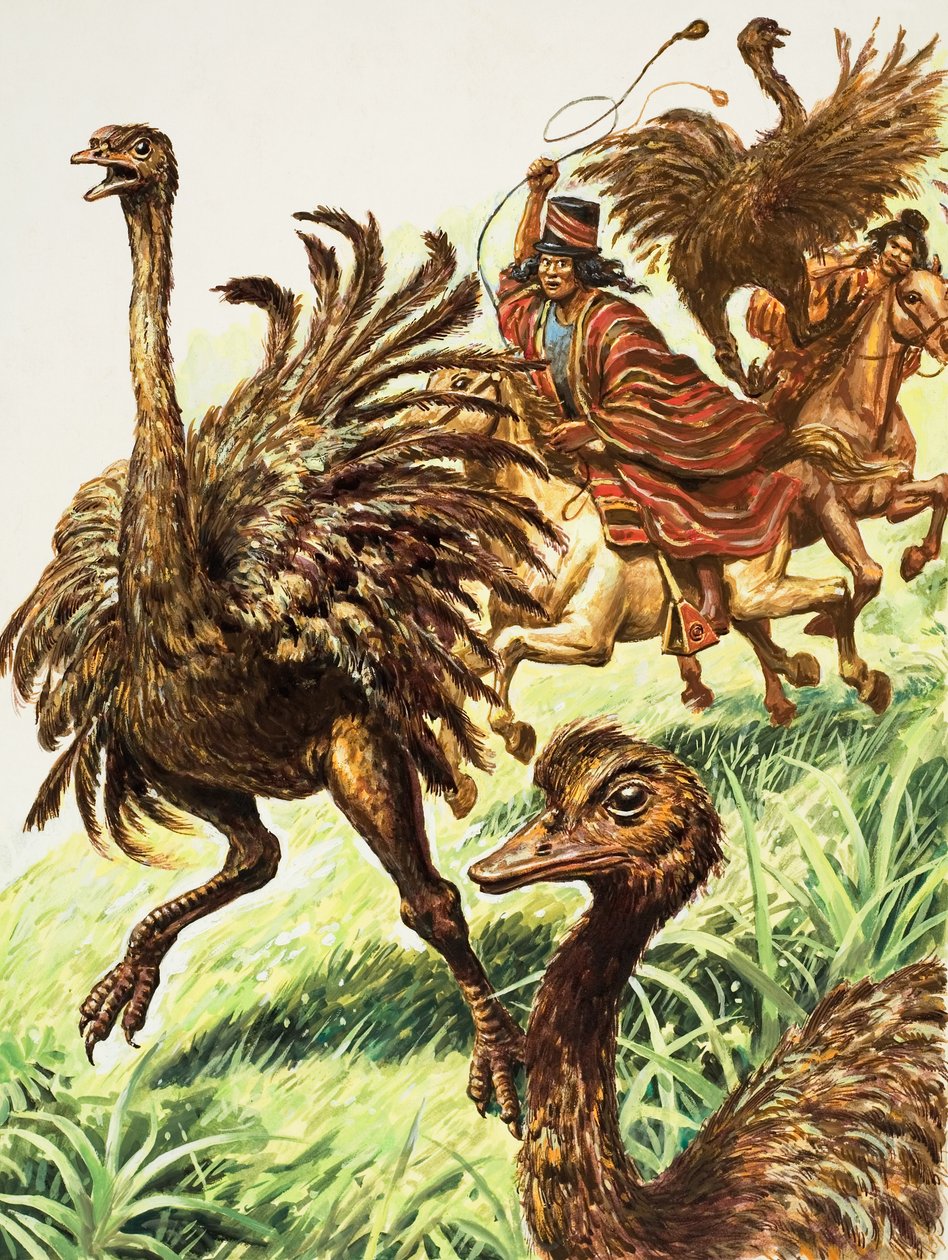 Rheas (gouache på papir) af C.L. Doughty