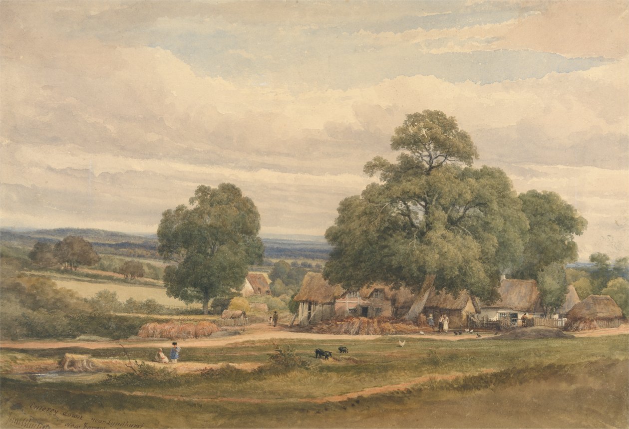 Emery Down nær Lyndhurst, New Forest, Hants (akvarel og grafit på papir) af C. John Mayle Whichelo