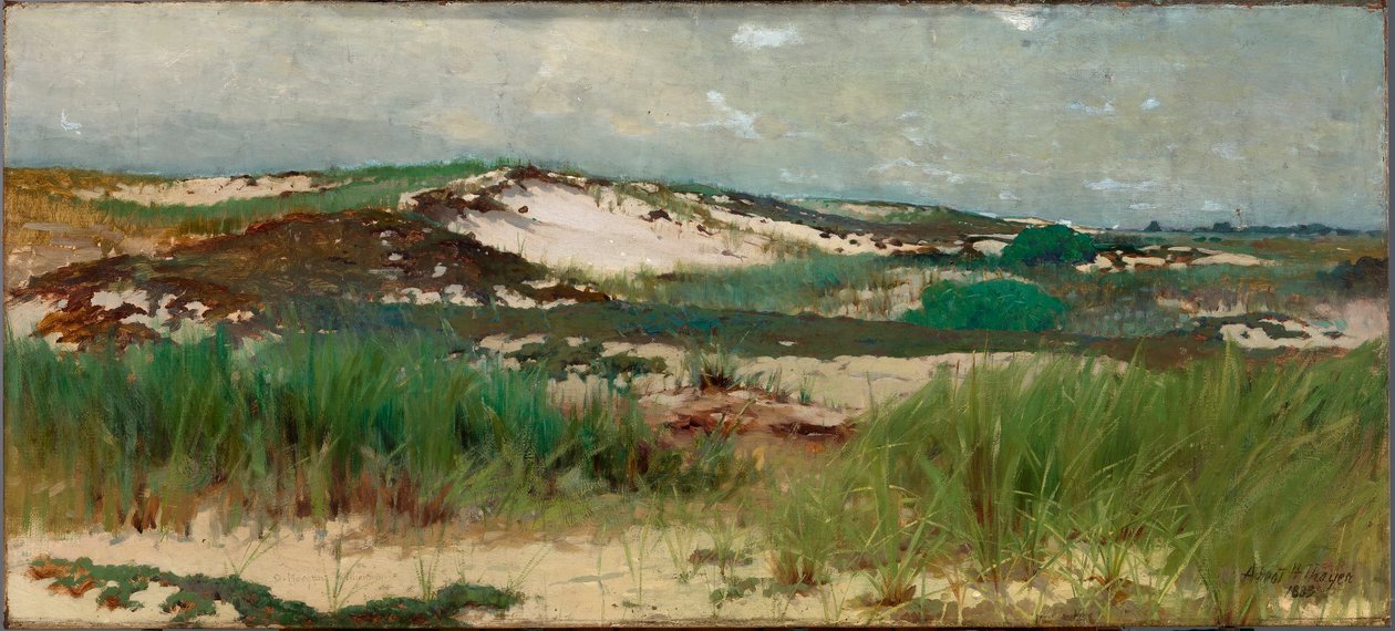 Nantucket sandklit af C. Morgan McIlhenney