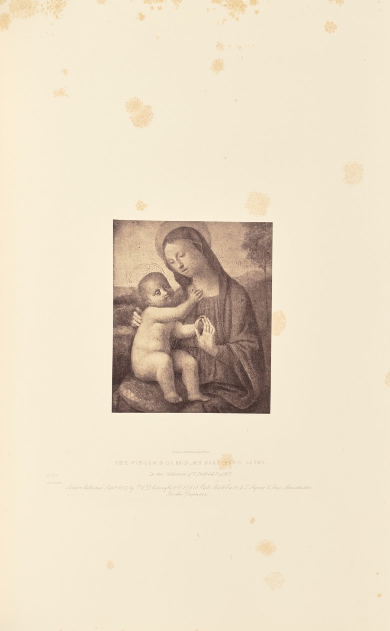 Jomfruen og barnet, af Filippino Lippi af Caldesi and Montecchi