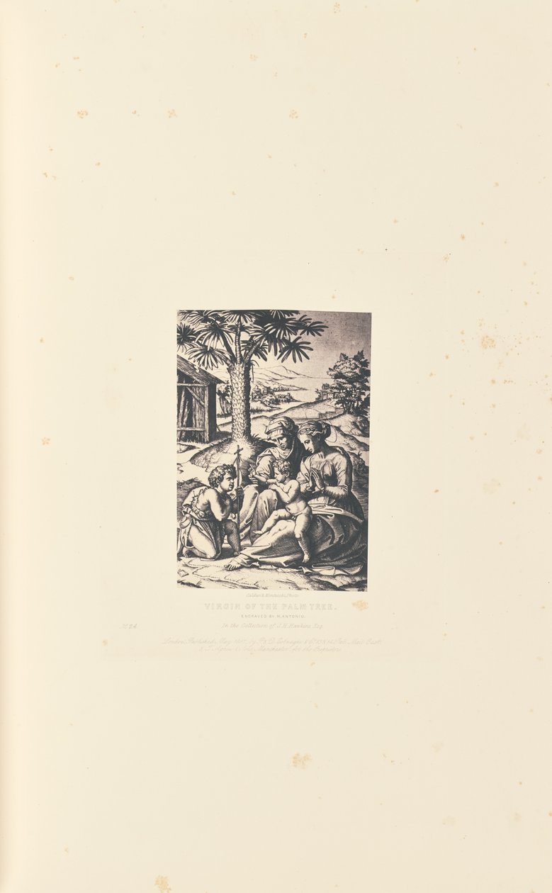 Jomfruen ved palmetræet, graveret af M. Antonio af Caldesi and Montecchi