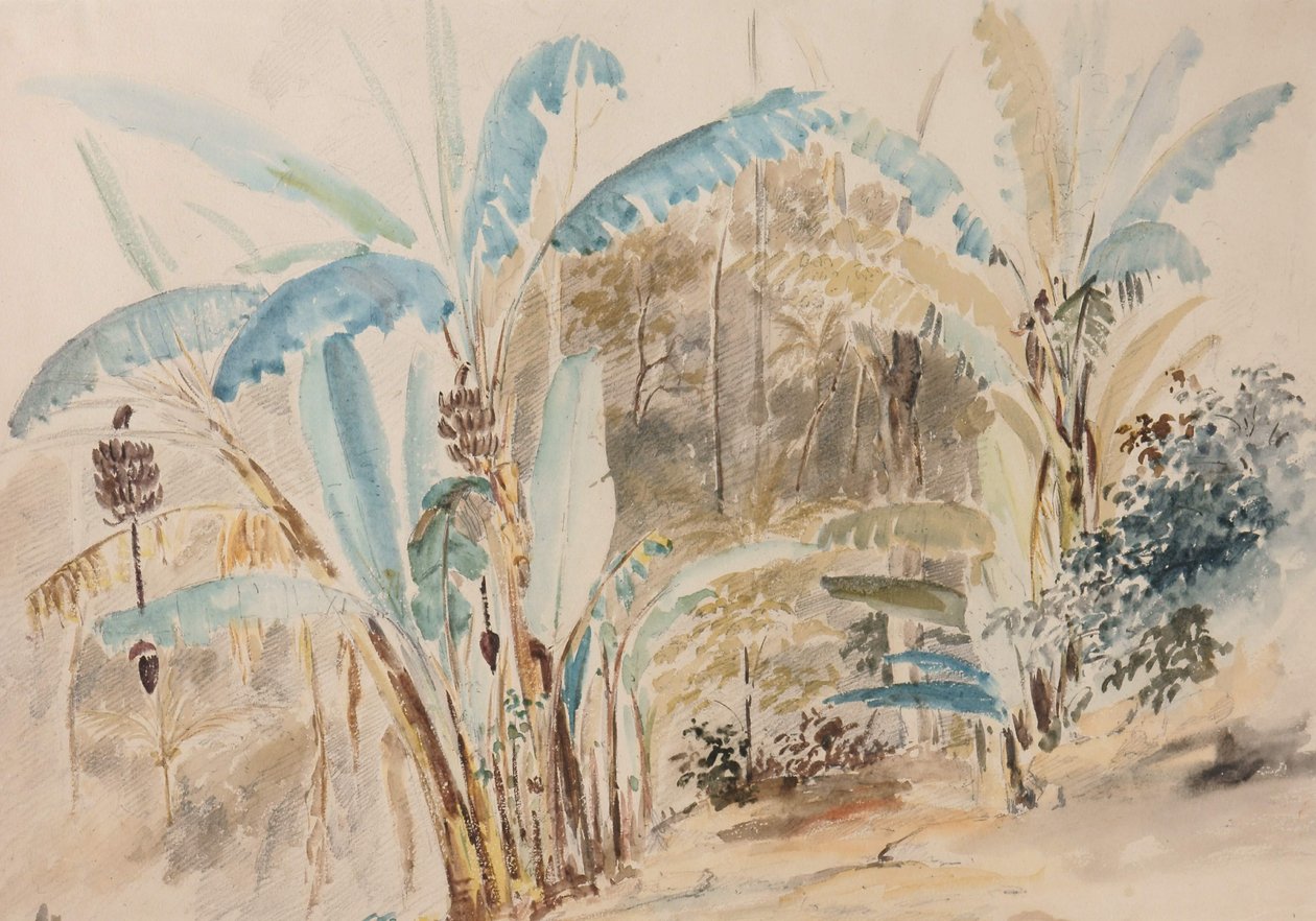 Banantræer af Camille Jacob Pissarro