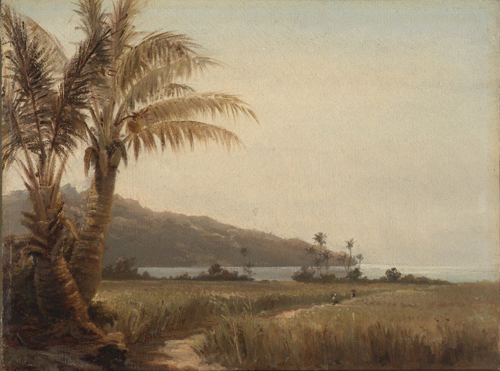 Kokospalmer ved havet af Camille Jacob Pissarro