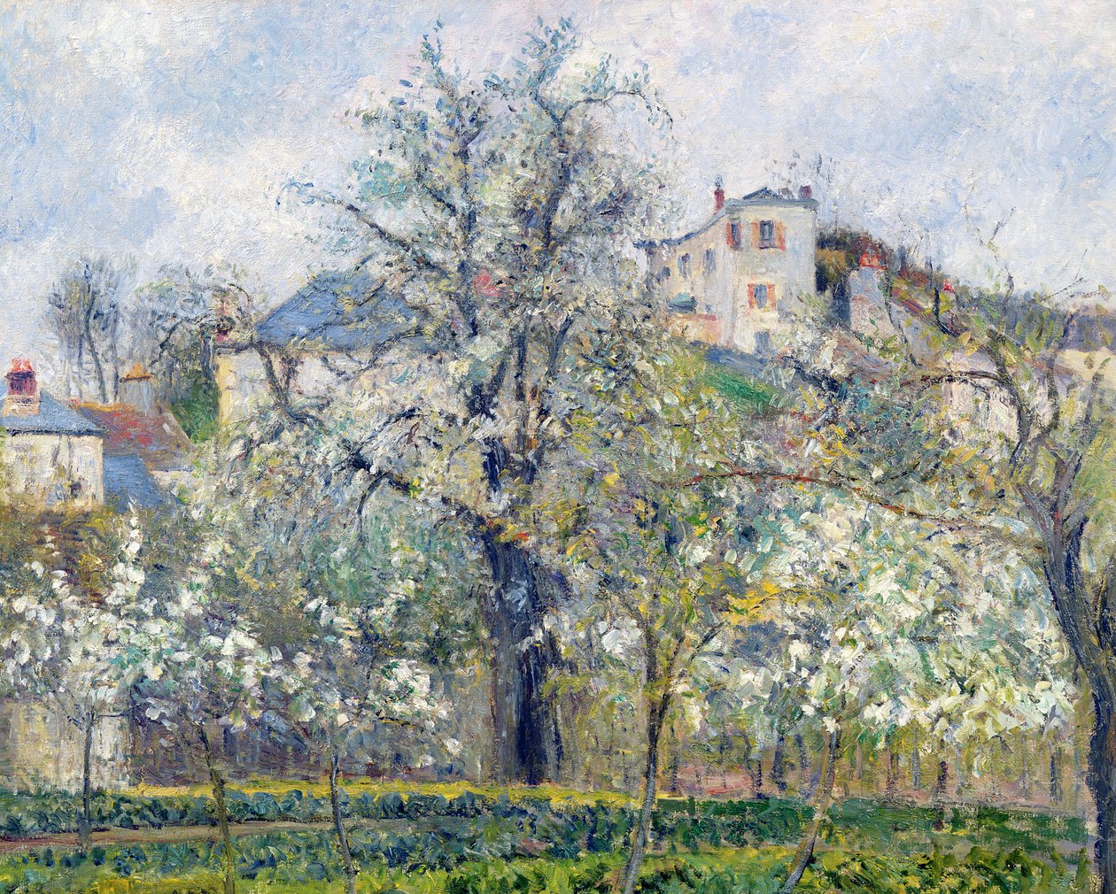 Grøntsagshaven med træer i blomst, forår, Pontoise, 1877 af Camille Jacob Pissarro